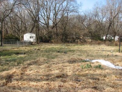 Too Precocious! Image